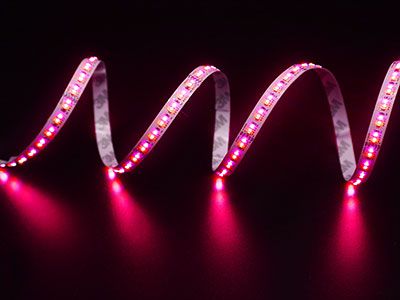 TN-2110 RGBW LED Strip Light, 15.36W/m, 48-756 lm per meter