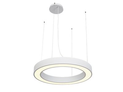 O100 Ring Light